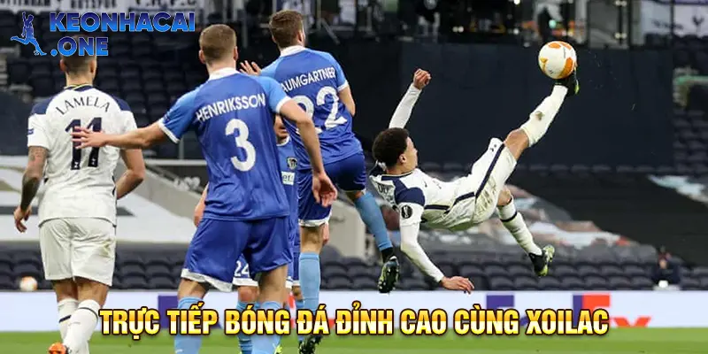 Cập nhật nhanh chóng lịch thi đấu các giải hàng đầu