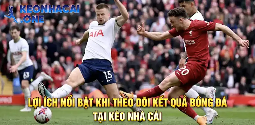 Theo dõi kết quả bóng đá mọi lúc mọi nơi trên nền tảng