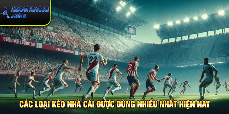3 tỷ lệ kèo nhà cái dẫn đầu xu hướng cá cược