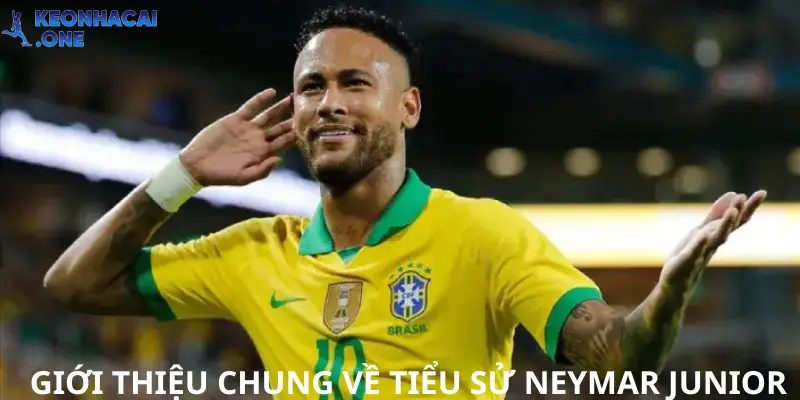 Giới thiệu chung về tiểu sử Neymar Junior