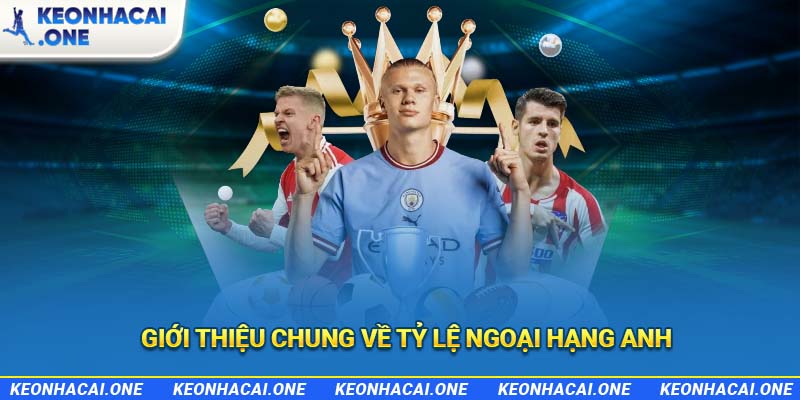 Giới thiệu chung về tỷ lệ Ngoại Hạng Anh