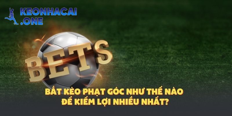 Vào cược như thế nào để được nhiều tiền về túi?