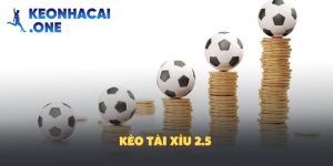 Kèo tài xỉu 2.5