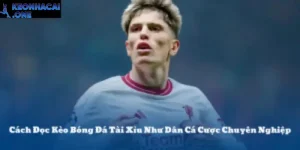 Kèo Tài Xỉu Là Gì? Cách Đọc Chuẩn Cho Dân Cá Cược Bóng Đá