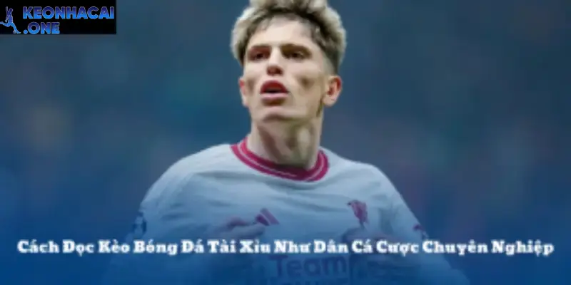 Kèo Tài Xỉu Là Gì? Cách Đọc Chuẩn Cho Dân Cá Cược Bóng Đá