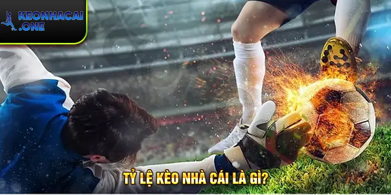 Tìm hiểu tỷ lệ kèo nhà cái là gì