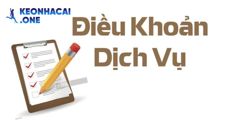Điều khoản bảo vệ người dùng